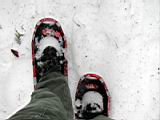 snowshoe-boardman-lake-25.jpg