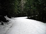 snowshoe-boardman-lake-16.jpg