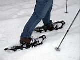 snowshoe-boardman-lake-27.jpg