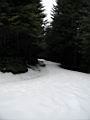 snowshoe-boardman-lake-36.jpg