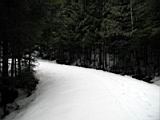 snowshoe-boardman-lake-39.jpg