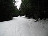 snowshoe-boardman-lake-41.jpg