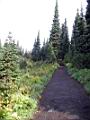 camp-muir-004