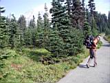 camp-muir-006