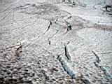 camp-muir-121
