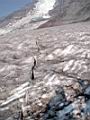 camp-muir-150