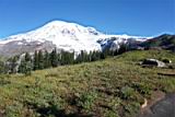 camp-muir-007
