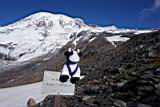 camp-muir-023