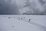 camp-muir-051