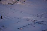 camp-muir-089