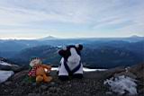 camp-muir-107