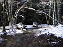 evans_creek-49.jpg