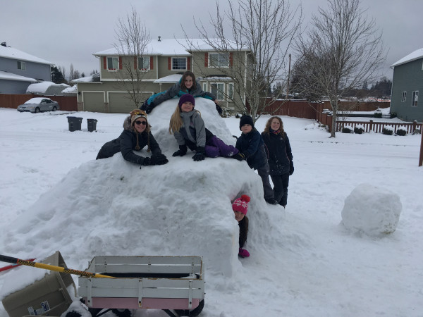 5887FA59-3A2D-4582-8690-5AD3E0411478.jpeg (737.47 KiB) Viewed 29033 times 5887FA59-3A2D-4582-8690-5AD3E0411478.jpeg