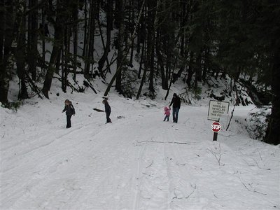 P3040017 (Custom).JPG