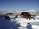 snow-bronco-17.jpg