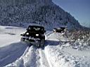 snow-bronco-25.jpg