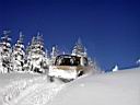 snow-bronco-49.jpg