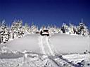 snow-bronco-57.jpg