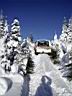 snow-bronco-66.jpg