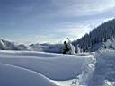 2010-snow-trek-048.jpg