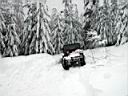 jackspass-31.jpg