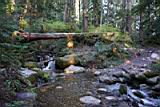 mt-pilchuck-05