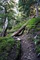 mt-pilchuck-06