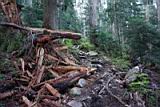 mt-pilchuck-07