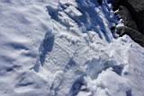 mt-pilchuck-49