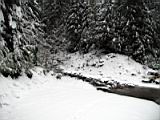 rat-trap-pass-15