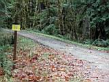 rat-trap-pass-21