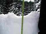 rat-trap-pass-37