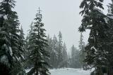 snow-wheeling-14