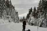 snowshoeing-pilchuck-03