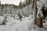 snowshoeing-pilchuck-09