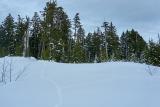 snowshoeing-pilchuck-28