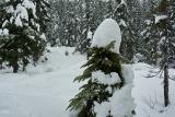snow-wheeling-18
