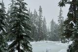 snow-wheeling-13