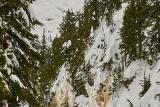 snowshoeing-pilchuck-22