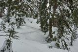 snowshoeing-pilchuck-15