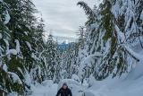 snowshoeing-pilchuck-10