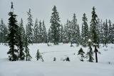 snow-wheeling-17