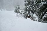 snow-wheeling-20