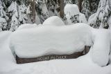 snowshoeing-pilchuck-02