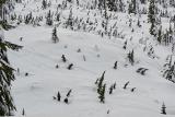 snowshoeing-pilchuck-18