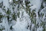 snowshoeing-pilchuck-12