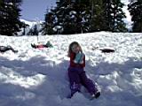 sledding-mount-baker-02