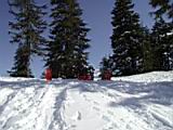 sledding-mount-baker-14