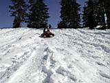 sledding-mount-baker-16