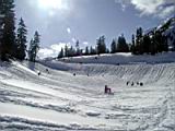 sledding-mount-baker-17